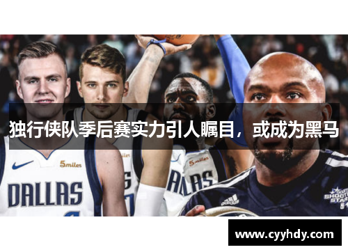 独行侠队季后赛实力引人瞩目，或成为黑马